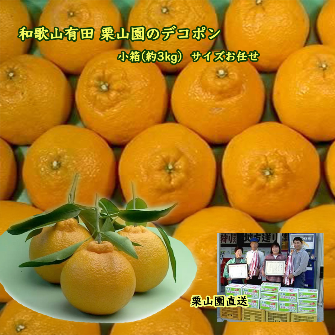 栗山園のデコポン