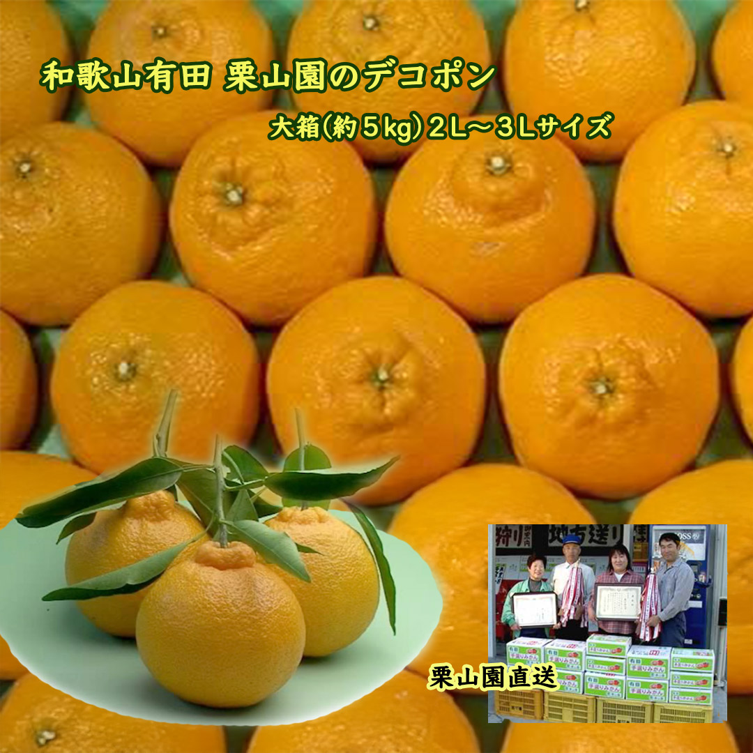 栗山園のデコポン