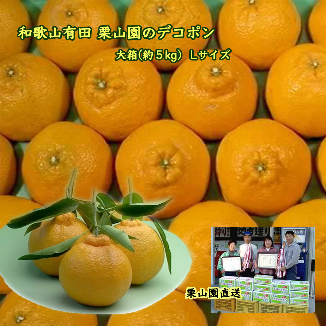 栗山園のデコポン