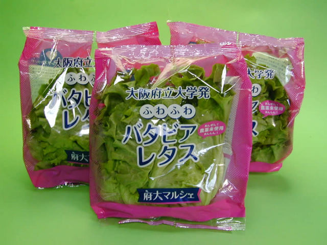 大阪府立大学植物工場 バタビアレタス(約70g) 6個（約420g）・リーフ