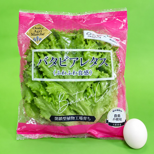 大阪堺植物工場バタビアレタス
