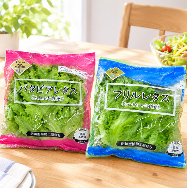 大阪堺植物工場フリルレタスとバタビアレタス