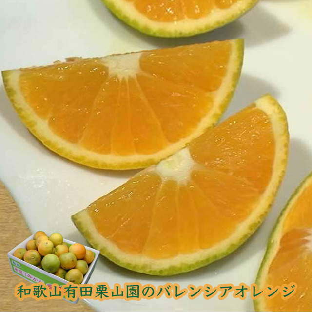 栗山園の国産バレンシアオレンジ5kg(ご家庭用) 送料無料(沖縄1000円