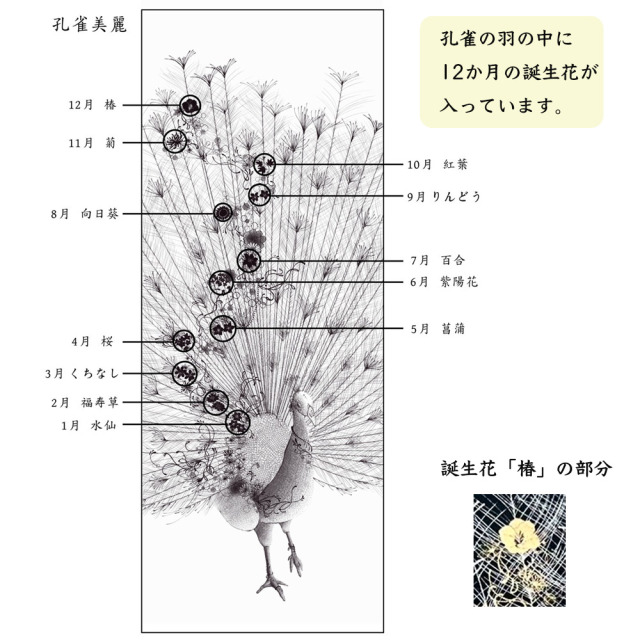 孔雀美麗