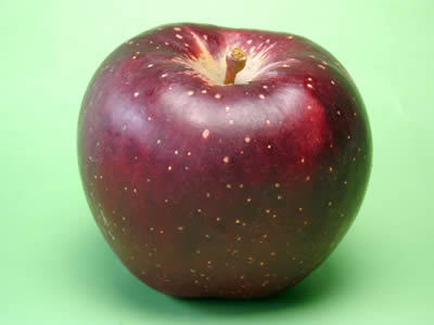 あらやファームの秋映え