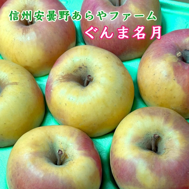 あらやファームのぐんま名月