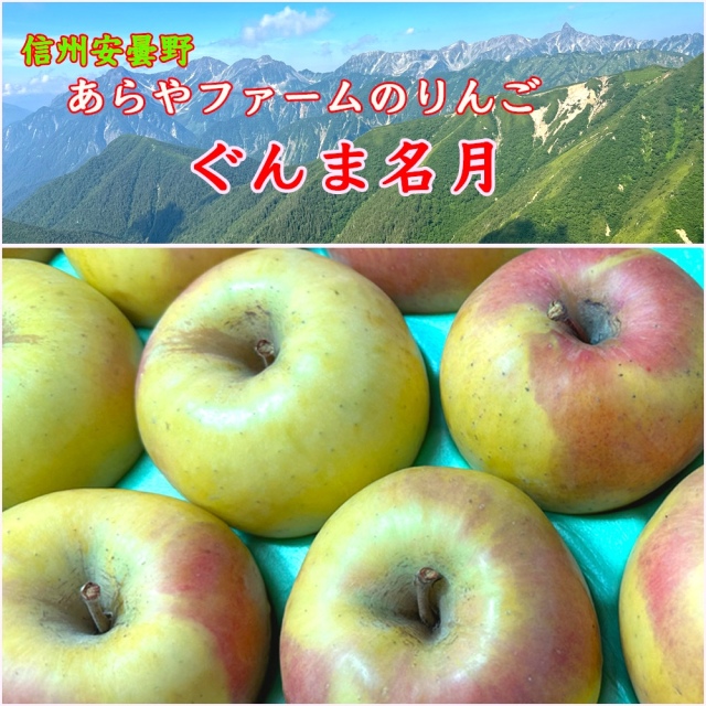 あらやファームのぐんま名月