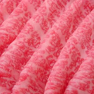 篠山牛　アップ