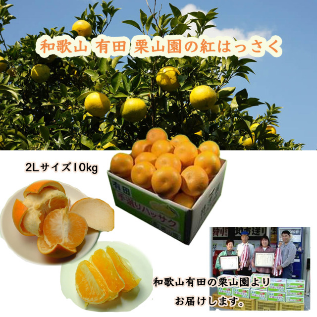 和歌山有田 栗山園の紅はっさく2Lサイ 10kg (送料無料/沖縄は1000円