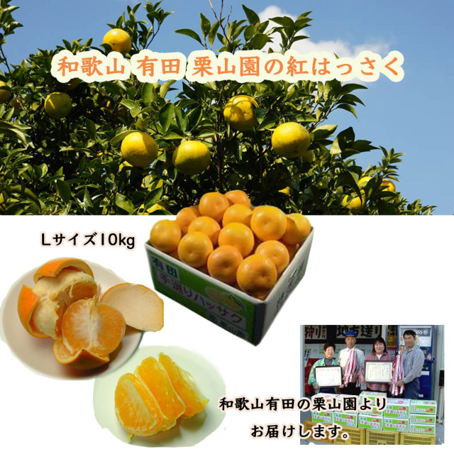 和歌山有田栗山園の紅はっさく