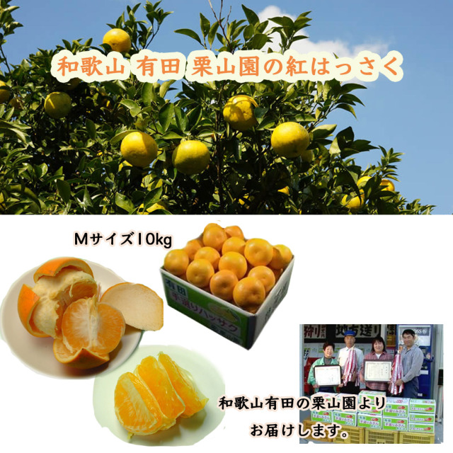 和歌山有田 栗山園の紅はっさく Mサイズ 10kg (送料無料/沖縄は1000円