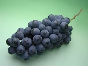 田中ぶどう園のぶどう