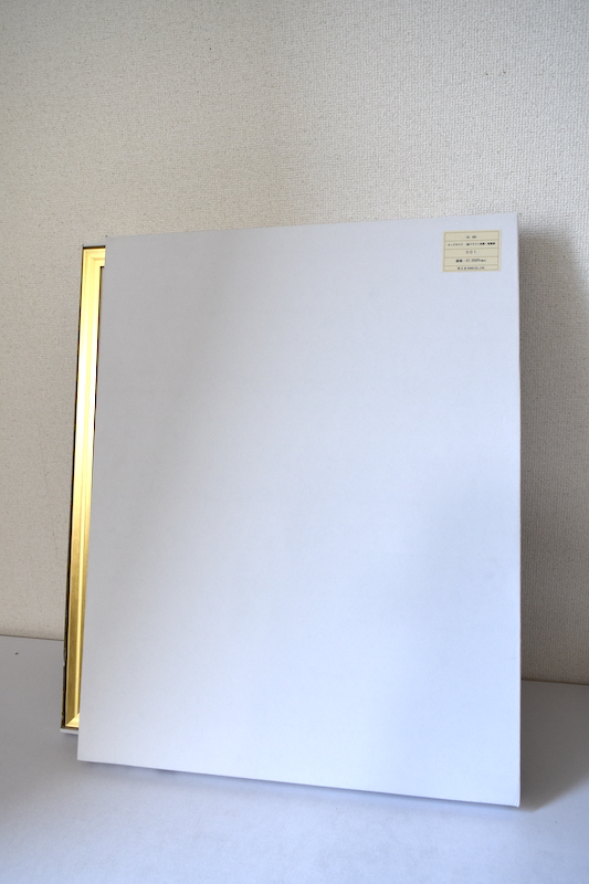 超世代KAKEJIKUシリｰズ東宝公式ライセンス商品「メカゴジラ」　額装