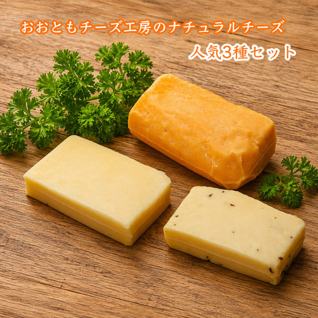 おおともチーズ工房のナチュラルチーズ