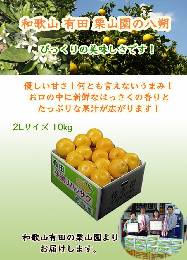 和歌山 有田 栗山園の八朔(はっさく) 2Lサイズ10kg (送料無料/沖縄1000
