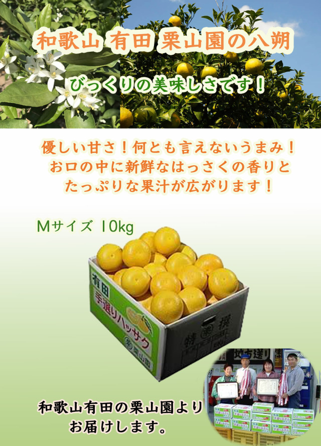 和歌山 有田 栗山園の八朔(はっさく) Mサイズ10kg (送料無料/沖縄1000