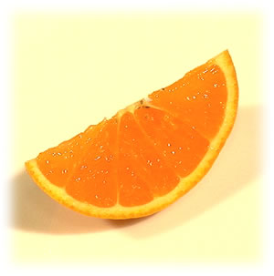 栗山園の春柑橘