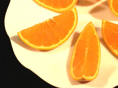 栗山園の春柑橘