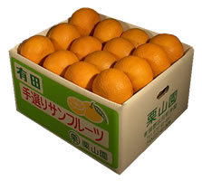 栗山園の春柑橘