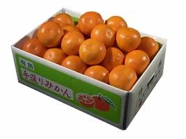 栗山園の春柑橘