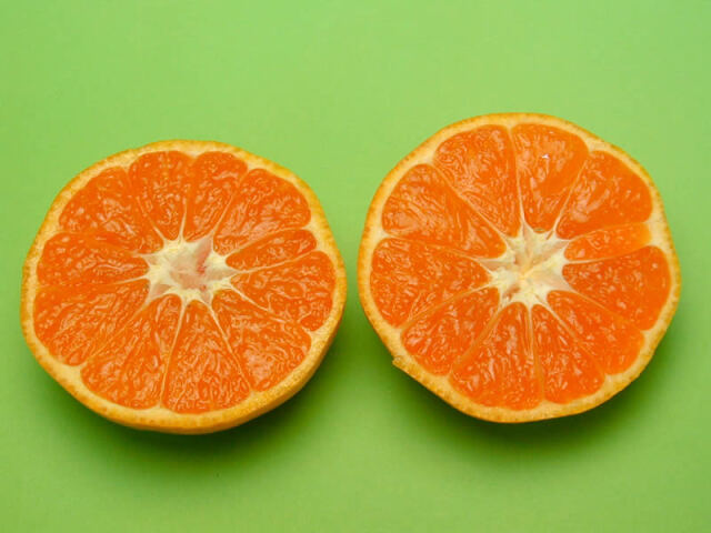 絶品‼️糖度15度越え‼️プレミアムみかんキング　旬味有田みかん　宮川早生 10Kg 絶品‼️糖度15度越え‼️プレミアムみかんキング 旬味有田みかん 宮川