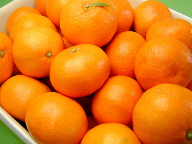 栗山園の有田みかん宮川早生