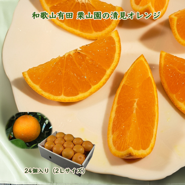 和歌山有田栗山園の清見オレンジ