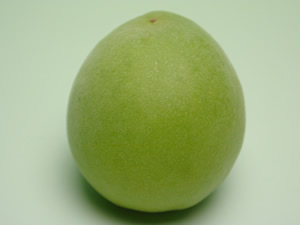 かつらぎ町の梅