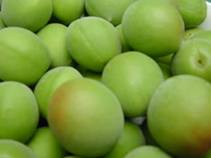 かつらぎ町の梅