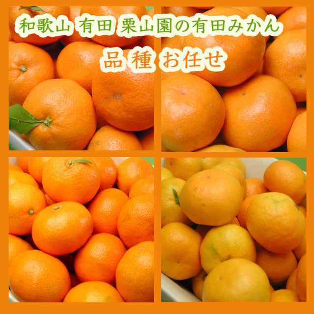 栗山園の有田みかん品種お任せ