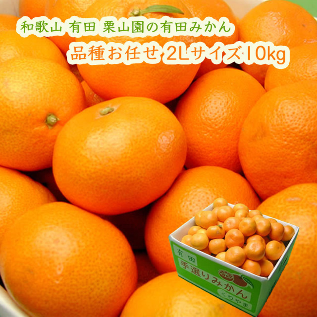 栗山園の有田みかん品種お任せ