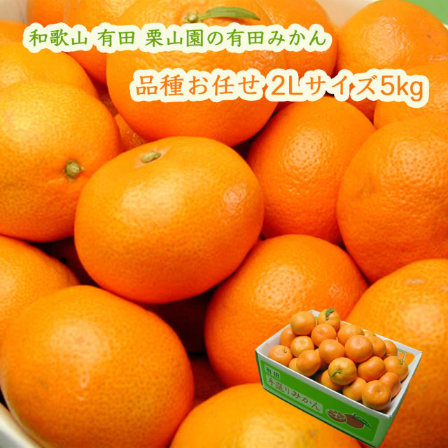 栗山園の有田みかん品種お任せ