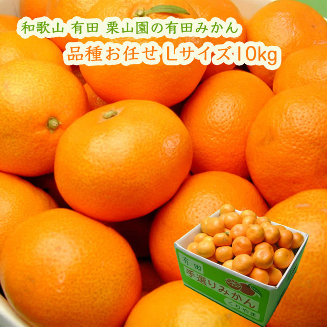 栗山園の有田みかん品種お任せ