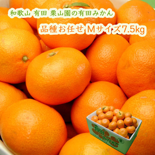 栗山園の有田みかん品種お任せ