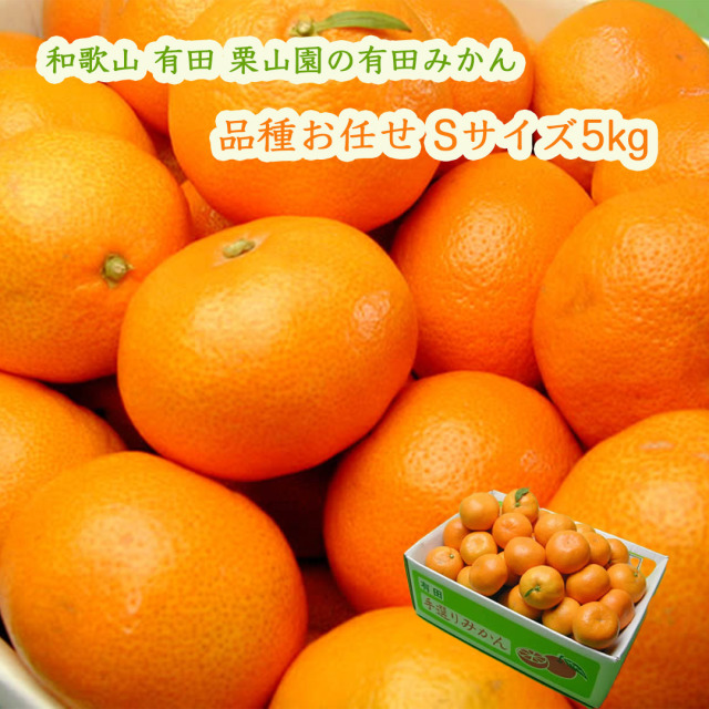 栗山園の有田みかん品種お任せ