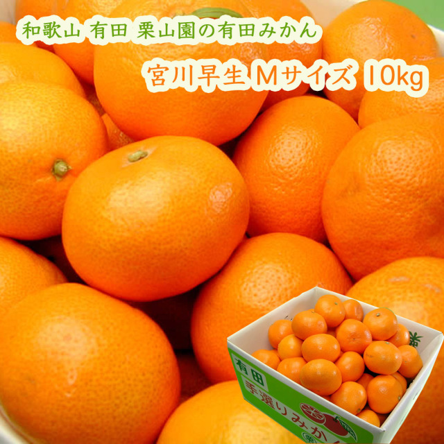 栗山園の有田みかん宮川早生