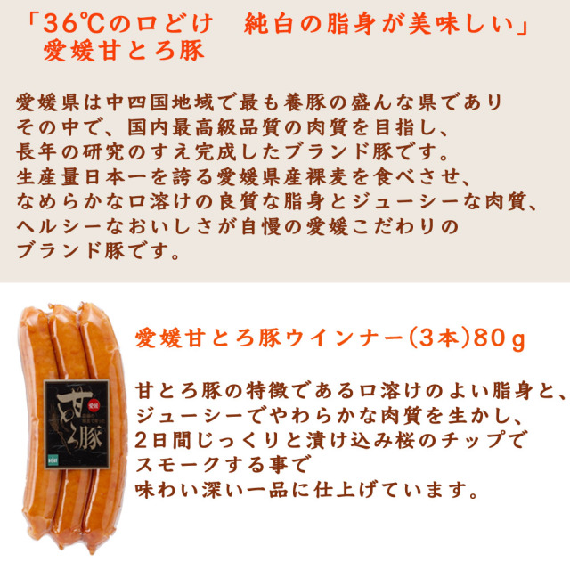 水口酒造　道後ビール