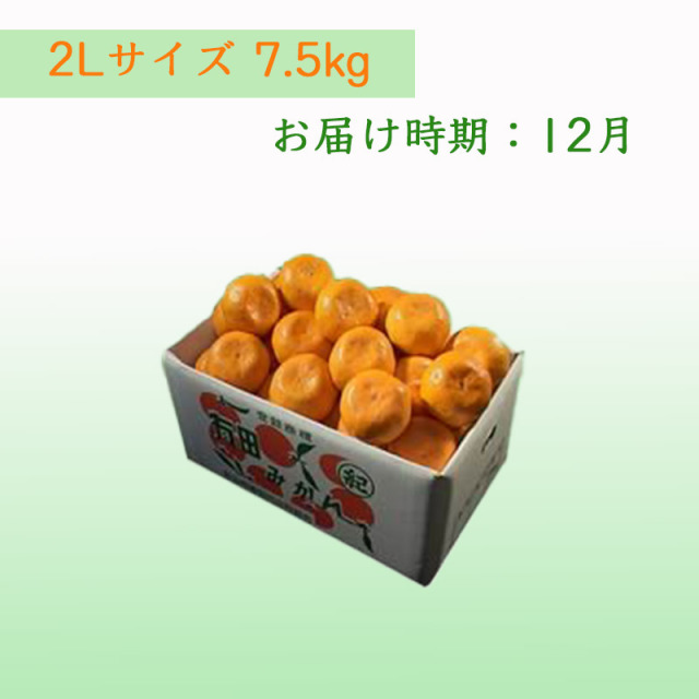 栗山園の有田みかん 品種お任せ 2Lサイズ 7.5kg 送料無料(沖縄は1000円