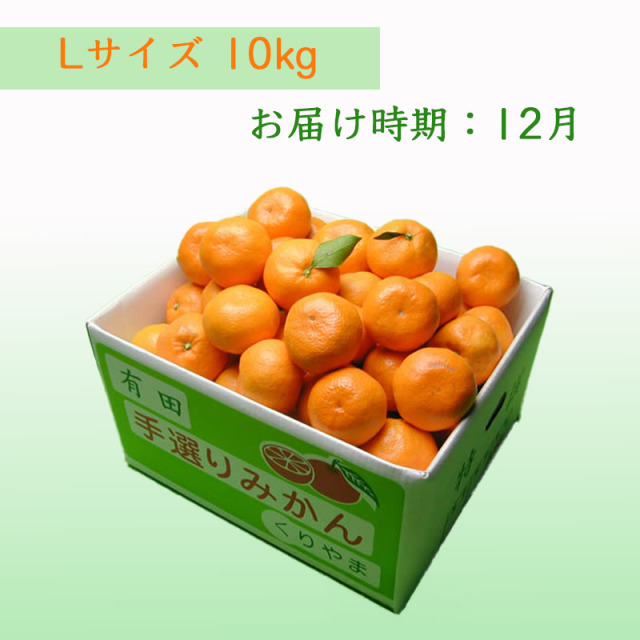 栗山園の有田みかん 品種お任せ Lサイズ 10kg 送料無料(沖縄は1000円