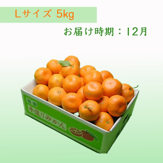 栗山園の向山中生