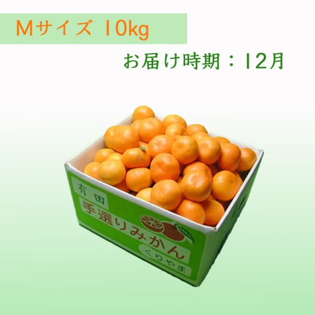山田様ご依頼の品 栗山園の有田みかん 向山中生 Mサイズ 10kg 送料無料(沖縄は1000円) お