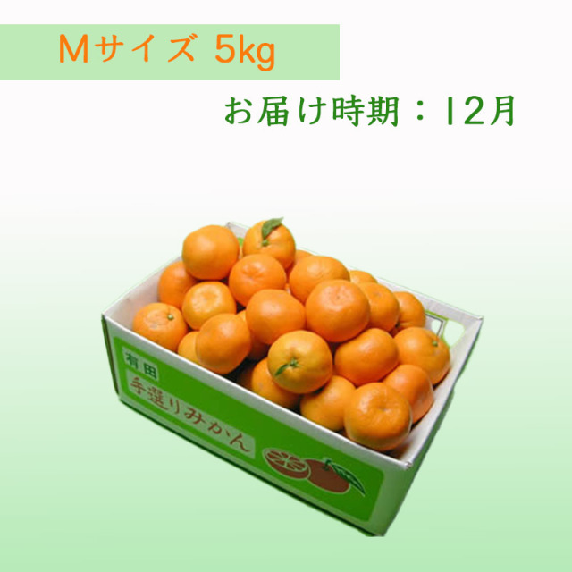 栗山園の向山中生