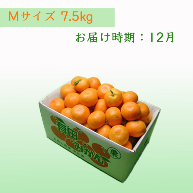 栗山園の有田みかん 向山中生 Mサイズ 7.5kg 送料無料(沖縄は1000円