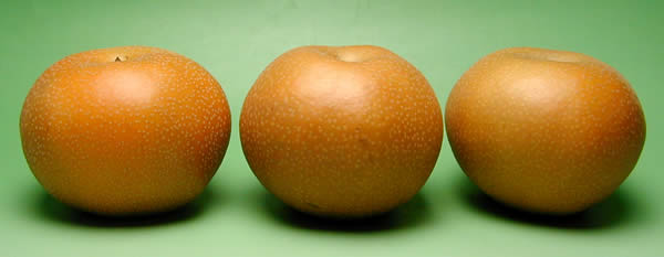 信州 安曇野 あらやファームの梨 南水 約5kg 8〜11個入り 産地