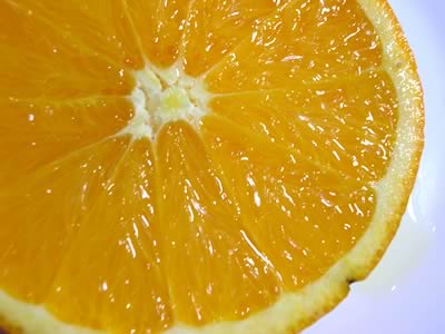 栗山園のみかん・オレンジ