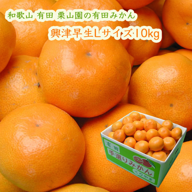 栗山園の有田みかん興津早生