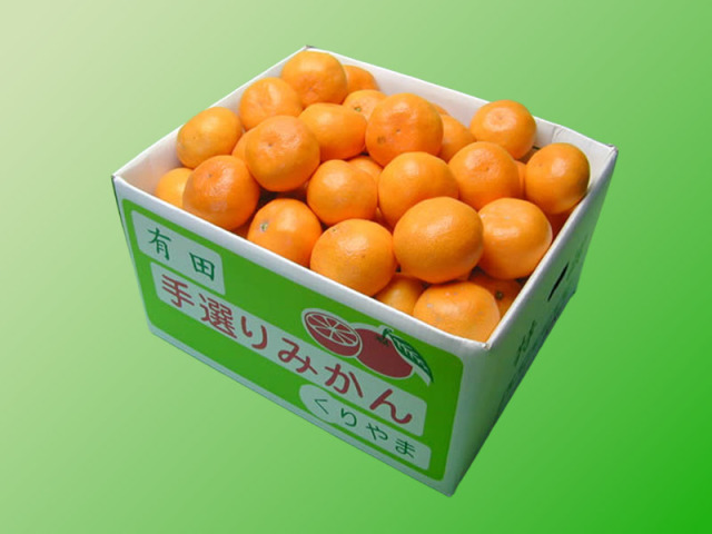 栗山園の興津早生