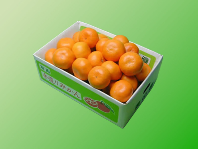 栗山園の興津早生