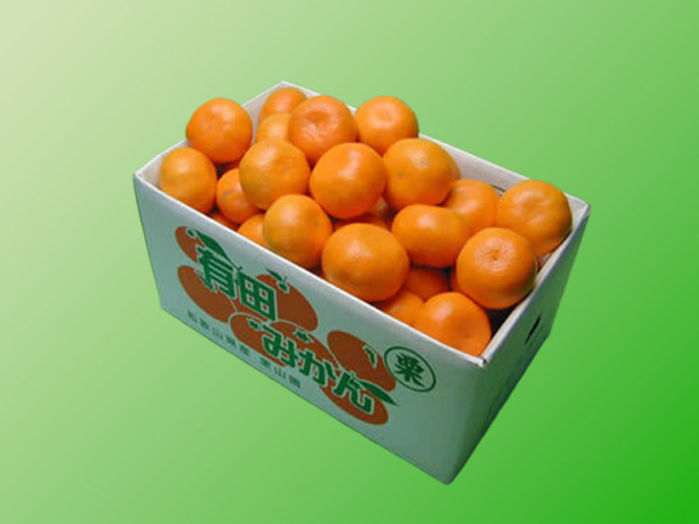 栗山園の有田みかん 興津早生 Lサイズ7.5kg 【送料無料（沖縄は1000円
