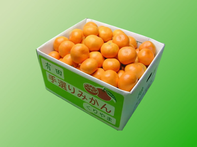 栗山園の興津早生